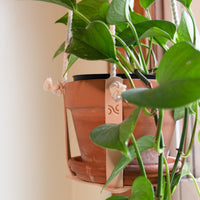 Leather Plant Hanger