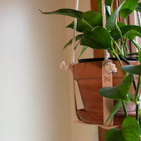 Leather Plant Hanger