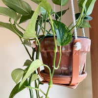 Leather Plant Hanger