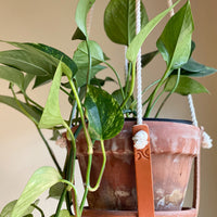 Leather Plant Hanger