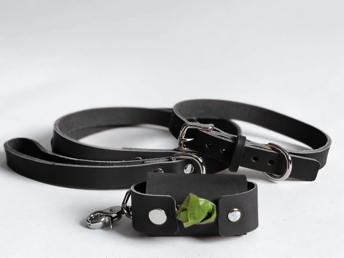 Personalized Leather Dog Waste Bag Holder