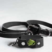 Personalized Leather Dog Waste Bag Holder
