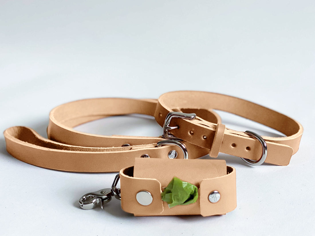 Personalized Leather Dog Waste Bag Holder