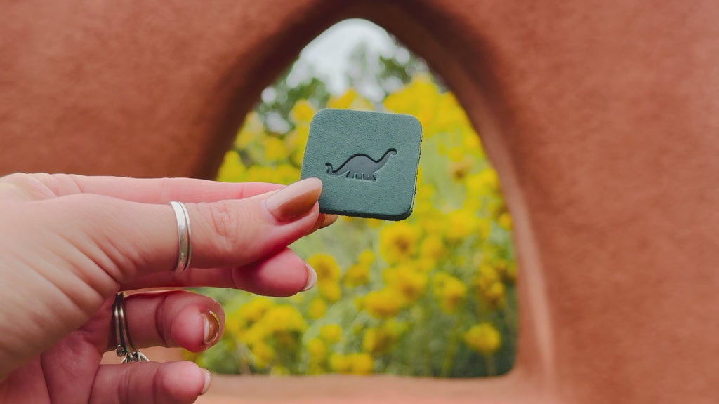 Video of the leather Minnesota magnets